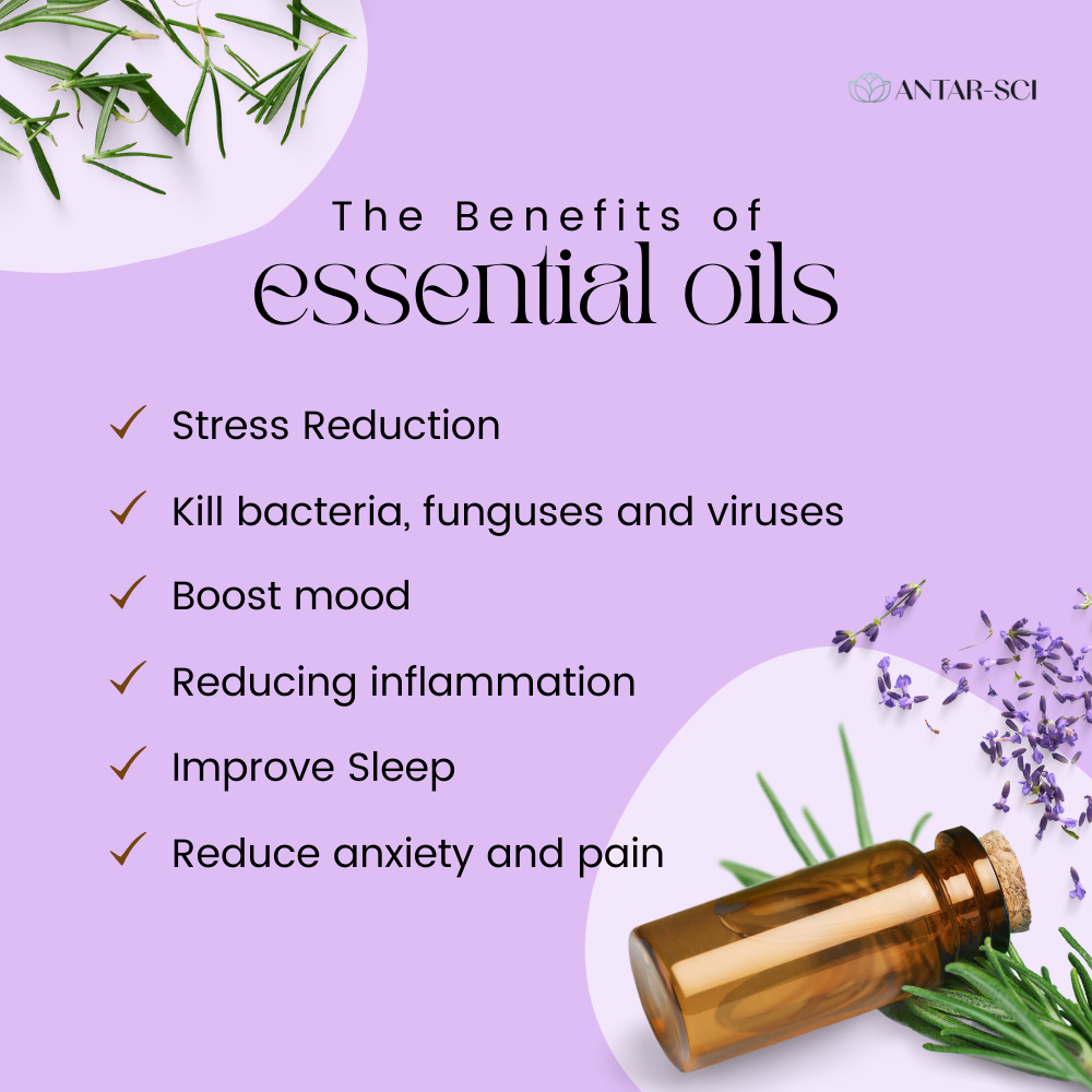 Lavender Essential Oil